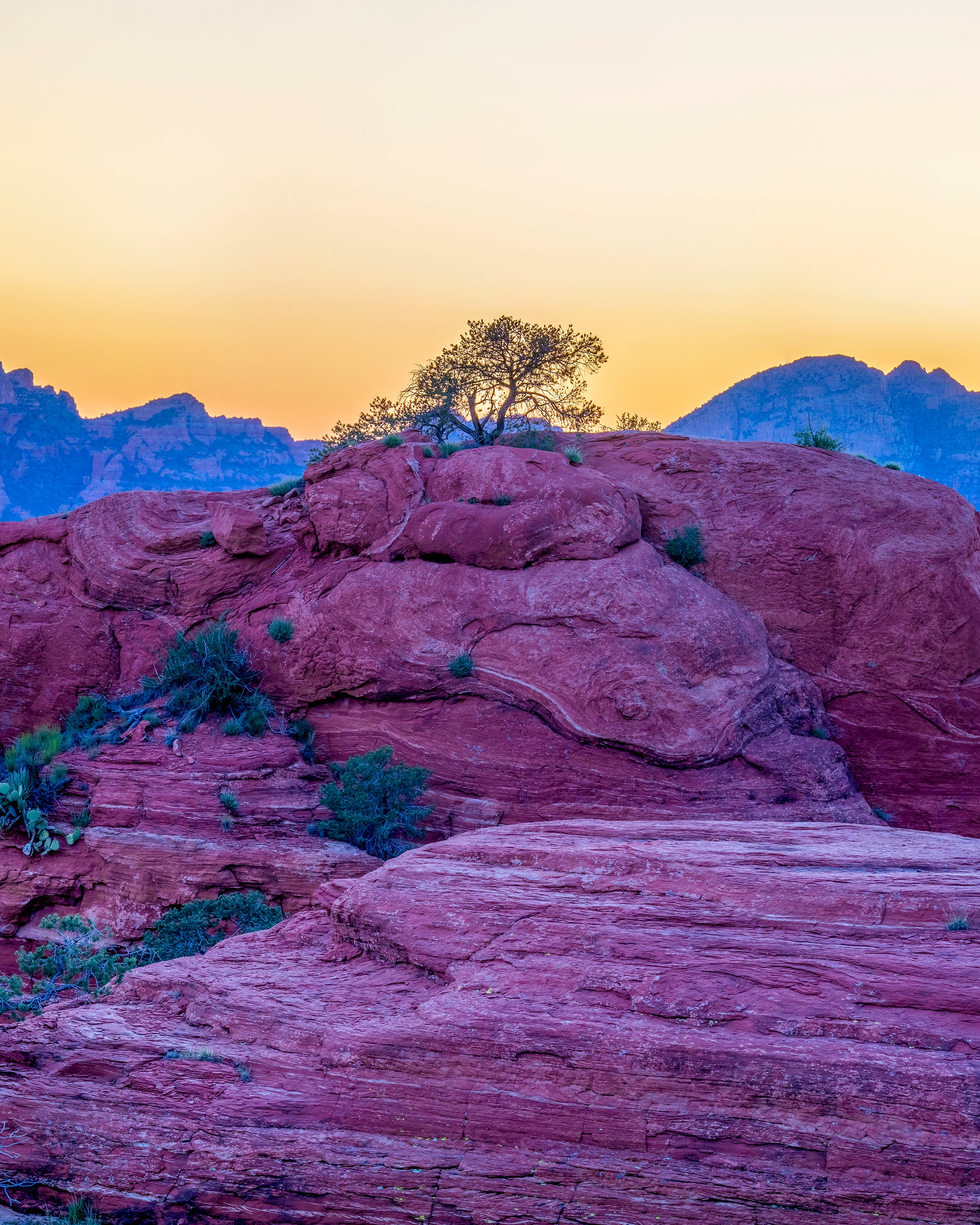 Perseverance at Golden Hour